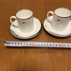 HOYA カップ・ソーサー 2個セット
