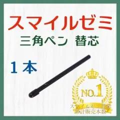 ◎最短即日発送◎【保証付】スマイルゼミ タッチペン 替芯 １本 gqq