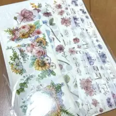 Item thumbnail for item 8129089d-cb6e-4e51-914b-02baa0a21b49