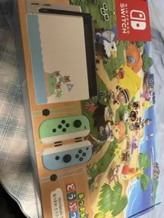 Nintendo switch どうぶつの森ver+ スプラ3