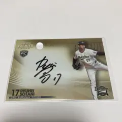 Item thumbnail for item 1992090b-0ccd-4877-9996-a0af99c826c1