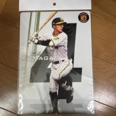 阪神　選手下敷き　熊谷