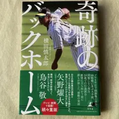 奇跡のバックホーム