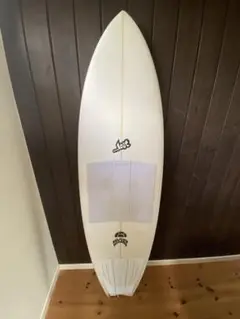 LostRNF96