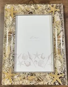 フォトフレーム貝殻