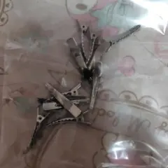 バースデー クリップ