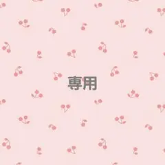 専用