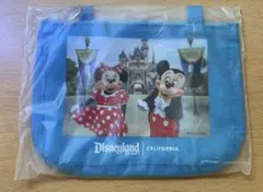 カリフォルニアディズニー 楽天トラベル来園者特典 非売品