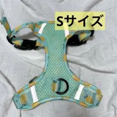 Item thumbnail for item f6314676-6c85-4bdd-bc4a-00e9fd0a30d1