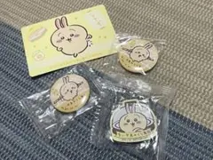 うさぎ 4点セット