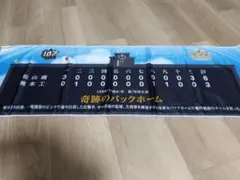 甲子園冷感タオル　1996年 第78回大会 奇跡のバックホーム