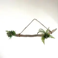 流木インテリア