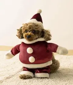 Item thumbnail for item beac13af-5188-4381-8718-0aeff4831847