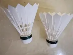 バドミントン シャトル 2個セット