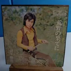 中村雅三 荒野の果てに KA-447