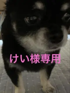 No.65天然石ブルーホワイトオパールチェーンチャーム