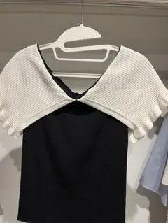 jillstuart 配色リブニット　ビックカラー