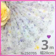 №250705 チュールレース