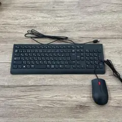 【全て未開封】Lenovo テンキー付きキーボード&マウス 11セット