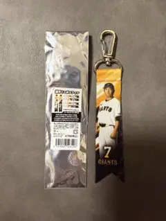 長野久義　ミニボンフィン