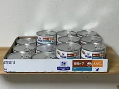 Item thumbnail for item 45a0a7fb-faeb-4bed-af08-4444204cf153