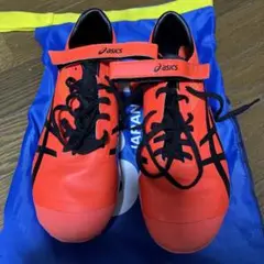 Item thumbnail for item 5c42121d-e226-4ff6-84ab-255d8a363b0d