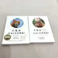 「人生はニャンとかなる！」＆「人生はもっとニャンとかなる！」 2冊セット