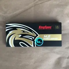 キングスペック　king spec SSD M.2 64GB