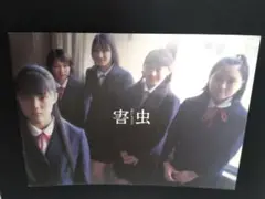 蒼井優　直筆サイン入り映画　害虫　パンフレット