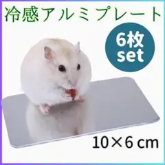 ▼6枚◎ 冷感 洗える ひんやりアルミプレート ハムスター 熱中症対策 小動物