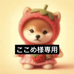 専用ページ