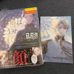 この結婚はどうせうまくいかない 1 メロンブックス特典 イラストカード付 未読品