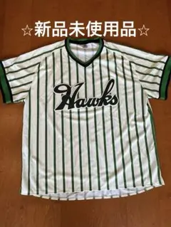 大阪球場 ジオラマ レプリカ ホークス HAWKS 南海ホークス ○大阪球場○南海ホークス | 日本全国野球場・サッカー場美術館