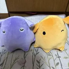 八景島シーパラダイス　メンダコ　1000円くじ　めんだこ