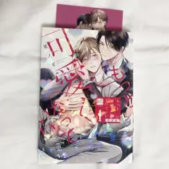 【もっと可愛くなっていい】星ノビル　特装版