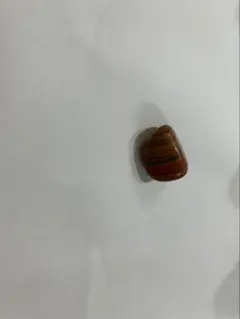 レッドジャスパー