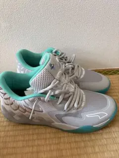 Item thumbnail for item 99ca61bf-cff7-415b-a930-8a8e8c4e634d