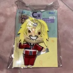 新テニスの王子様 セガラッキーくじ ぬいぐるみ 平等院