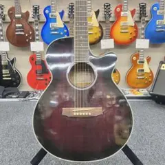 【調整済】IBanez RG450DX エレキギター　アイバニーズ　塗装品 調整済】IBanez RG450DX エレキギター アイバニーズ 塗装品