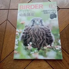 BIRDER2021年5月号