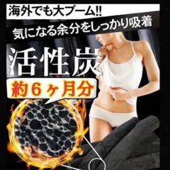 大容量 6ヶ月分‼️菌活ダイエッターに大人気 ❣️コンブチャ+活性炭の力