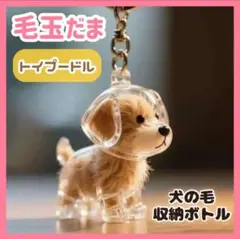 Item thumbnail for item d81a70ce-2a17-4256-ae64-5236f46b25e9