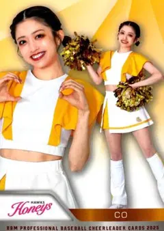 Item thumbnail for item 05313949-0232-4bd7-970d-7e8b5f5f0f34