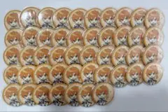 Item thumbnail for item 0d8fc9f0-91a2-4635-857e-9aadf5ea4ed2