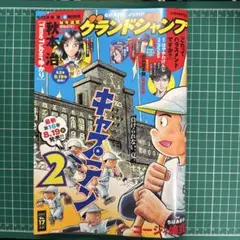 グランドジャンプ 2025年17号
