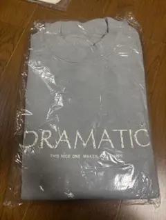 ヴィンテージ トレーナー DRAMATIC