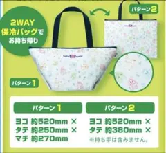 サーティワン　ポケモン2Way 保冷バッグ