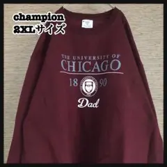【チャンピオン】スウェット カレッジロゴ 刺繍ロゴ ビッグサイズ 裏起毛!2
