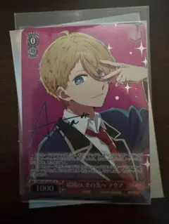 ヴァイス　輝くステージへ　ルビー　SP　暗闇の、その先へ　アクア　sp ヴァイス 輝くステージへ ルビー SP 暗闇の、その先へ アクア sp
