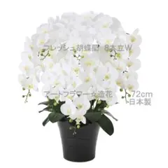 Item thumbnail for item beb27ad8-dbdc-416d-b610-78c69002bd06